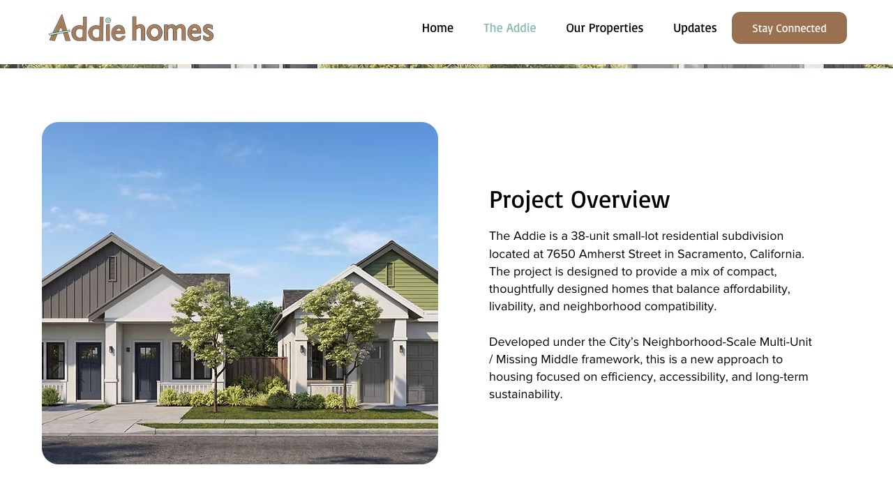 The public project overview and housing context.